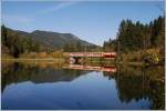 Dieses Bild zeigt den R 6813/16, der am 20.9.2010 von der 1099 011 bespannt wurde, beim Stausee bei Wienerbruck.