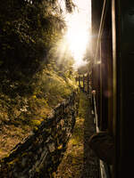 Die Taurachbahn am 30.08.2026 auf der Weg Fahrt von St. Andr� nach Mauterndorf