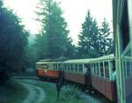 Stubaitalbahn__Zug von Fulpmes bei der Talfahrt nach Innsbruck.__10-08-1972