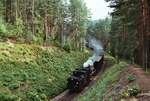 Am 20.08.1984 gab es noch reguläre Dampfzugfahrten bei der Waldviertelbahn.