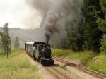 Die Leihgabe-Lok 100.13 hat am 16.Juli 2005 den Bf. Alt Nagelberg mit Planzug nach Heidenreichstein verlassen. Das zweite Gleis im Bild ist die Strecke Gmnd N.. - Litschau.

