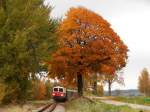 2095.05 - Fotozug von Gmnd nach Gro Gerungs kurz vor Alt Weitra mit herbstliche Stimmung.
26.10.2012.