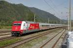 101 081 mit IC719 durchf�hrt am 23.08.2013 den Bf.Mixnitz-B�rensch�tzklamm.