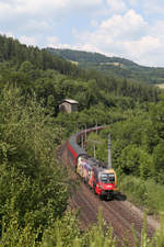 1116.153  ÖAMTC  mit RJ-559 am Eichberg.