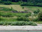 Wachaubahn(R16905) entlang der Donau, vorbei an Marillenb�umen und Weing�rten; 260705