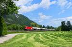 1116 260 mit einem Kesselzug am 19.05.2025 bei Schaftenau.