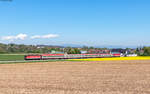 1144 282 und 1144 238 mit dem IC 507 (Linz Hbf - Graz Hbf) bei Weifersdorf 20.4.25