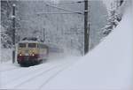 E10 1309 mit AlpenExpress von Den Haag nach Bischofshofen nahe Windau an der Salzburg-Tiroler Bahn. 26.01.2019