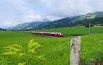 4746 036 als REX 1513 nach Schwarzach-St.