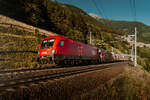 �BB 1116 253, �BB 1293 143 und ELOC 193 239 als Schiebelok durchfahren am 24.08.2026 mit einem Erzzug nach Linz die ehemalige Haltestelle Oberfalkenstein.
