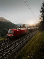 �BB 1116 168 f�hrt am 24.08.2026 mit einem G�terzug in Richtung Villach kurz vor Oberfalkenstein vor�ber.
