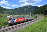 Die CT-Train 193 433  Meggie  �berstellte die 2744 010 der Ferrovia Sangritana von Tschechien nach Italien und wurde dabei von mir kurz vor Niklasdorf fotografiert.