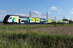 Das ist der sogenannte  Westbahn China Zug am 15.06.2026 bei Gunskirchen. Die Bemalung ist etwas anders als auf den Stadler Z�gen.