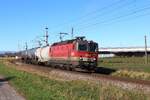 Nicht viel zu tun hat die 1144 122 am 4.11.2025 mit dem Güterzug von Graz Vbf nach Maribor Tezno.