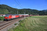 Die 1293 145 brachte Ende August den Erzleerzug 47407 von Leoben Donawitz nach Spielfeld-Stra�, und wurde dabei von mir im Peugener-Bogen fotografiert.