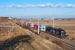 1116 153  Cats  hat mit dem R 2245 den Busserltunnel zwischen Gumpoldskirchen und Pfaffsttten hinter sich gelassen. Die Aufnahme entstand am 02.03.2012. 