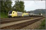 Dispoloks ES64 U2-017 und ES64 U2-005 CargoServ fahren mit einem Kesselwagenzug von Gro Schwechat nach Koper.
Thalheim-Pls 26.05.2008