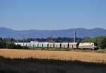 Kalkzug 61032 am 28.07.2013 vormittags gezogen von der ES 64 U2-080
bei der Durchfahrt in Wartberg an der Krems.