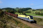 Bei Freistadt konnte am 04. Oktober 2014 die CargoServ 1216.930 mit dem leeren Stahlzug 47531 zur Voest Alpine Linz aufgenommen werden. Noch vor einigen Jahren waren die Tauri von CargoServ mehrmals täglich mit Kohlezügen auf der Summerauer Bahn zu beobachten. Allerdings wurde der Laufweg dieser Züge zu den schlesischen Kohleabbaugebieten auf die West- und Nordbahn verlegt. Aufnahmen im Mühlviertel sind somit nur noch Samstags mit einem verbliebenen Zugpaar möglich.