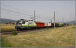 CAT Taurus 1116 142 fhrt mit einem Gterzug von Bruck an der Mur nach Zeltweg.