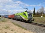 Die 1116 141 im CAT-Design mit dem Containerzug 43401 nach Spielfeld (in weiterer Folge zum Hafen Koper) wurde von mir heute in Wagna bei Leibnitz aufgenommen.