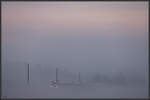 Ja wo ist er denn ??

Fast verschwindet dieser GTW 2/8 im Nebel . 

Donnerstag 13.10.2022 bei St.Peter im Sulmtal 