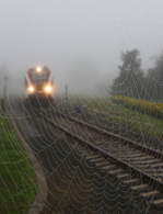 Es Herbstlt ,...

Pünktlich zum Herbstbeginn verzieren abertausende Spinnennetze die Landschaft. 
Mit zum Herbst gehört selbstverständlich der Nebel. 

Ein GTW 2/8 ging mir ins Netz am  9.09.2017 bei Pölfing Brunn