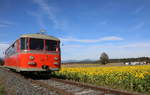 In einem Bett aus Sonnenblumen quietscht VT10.02 durchs Sulmtal     13.10.2017 