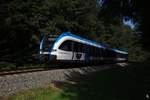 VT63.08 auf der Fahrt nach Wies-Eisbiswald. In dem Waldstück kurz vor Schwanberg befand sich noch 2016 ein mit Andreaskreuz gesicherter Bahnübergang, der zum Zeitpunkt des Fotos verschwunden war. (12.09.2018)