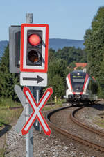 Meist kommt ein Zug ums Eck wenn´s Rot leuchtet. Gasselsdorf im September 2019