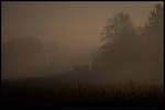 Nebelstimmungen sind ja sonst dem Herbst vorbehalten ,... 
Durch die Wetterlage bei uns zulande aber auch immer öfter im Winter anzufinden ,.... 
22.01.2020 bei Dietmannsdorf