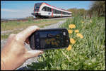 Handyfoto ,.... 

Löwenzahn auf der Leibenfelder Höhe am 15.04.2020