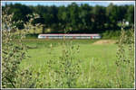 In den letzten Wochen konnte man das Gras wachsen hören ,..... :-) 

Hier bei Bergla rollt ein GTW 2/8 im Hintergrund dahin.
27.Mai 2020