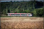 Durch´s Kornfeld rauscht ein GTW 2-8 bei Hohlbach. 15.07.2021