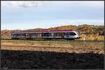 Strahlender Herbst in der Südweststeiermark hier bei Pölfing Brunn . 4.11.2021