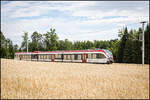 Mal Sonne mal Wolken brachte der 11. Juli 2025 in der Südweststeiermark. Hier rollt ein GTW 2/8 gen Deutschlandsberg durch einige Kornfelder bei Hohlbach . 