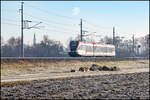 Eine der reizvollsten Fotostellen für Stimmungsbilder  am Wieser Ast der Steirischen Westbahn ( GKB ) liegt zwischen den Bahnhöfen Groß Sankt Florian und Frauental Bad Gams mit der Pfarrkirche Groß Sankt Florian im Hintergrund . Mit Fahrplanwechsel am 14.Dezember wird dieser Abschnitt allerdings nur mehr von Güterverkehr Planmäßig befahren . 13.12.2025 