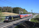 Kurz vor dem Nordportal des 1695 Meter langen Hengsbergtunnel fotografiere ich Anfang April 2026 die 193 605 mit drei DB-Stockwagen als S6 von Graz Hauptbahnhof nach Wies-Eibiswald.
