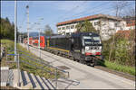 Ein Zug der Linie S6 erreicht Wies Markt . 20.4.2026 