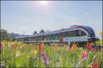 Bl�mchen gef�llig ?  Ein Feld zum Selberpfl�cken n�chst dem Bahnhof K�flach am 10.