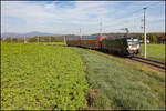 Ein Zug der Linie S6 im Ermerbogen am 15.10.2026 