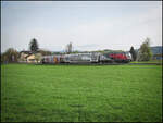 Im Herbst 2011 begann meine Arbeit hinter der Kamera sich zu entwickeln.