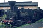 Lok 671 der Graz-Köflacher Bahn am 18.06.1974 im Heizhaus Graz.