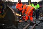 Beginn der Baustelle am 5.März 2016 . Der erste Schnitt unter kritischen Blicken. 