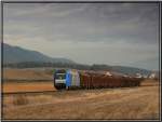 Diesellok 2016 903 European Bulls der Firma LTE fhrt mit einem Kurzholzzug von Kraubath nach Pls. Fohnsdorf 21.2.2008