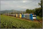 LTE 1216 910 und Dispolok ES64 U2-017 fahren mit Kesselwagenzug 48431 von Gro Schwechat nach Koper.