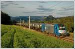 LTE Leerkerosinzug 48931 von Wien Schwechat nach Koper am 25.7.2008 nahe der Haltestelle St.