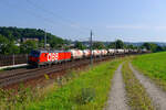 1293 054 ÖBB mit einem gemischten Güterzug bei Ingling Richtung Wels, 22.07.2020