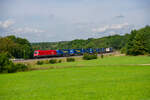 1116 041 ÖBB mit einem LKW-Walter KLV-Zug bei Laaber Richtung Regensburg, 21.08.2021