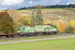 Lokportrait von 1016 020 ÖBB  Ein neues Kapitel beim Klimaschutz  mit einem gemischten Güterzug bei Thüngen Richtung Schweinfurt, 23.10.2021